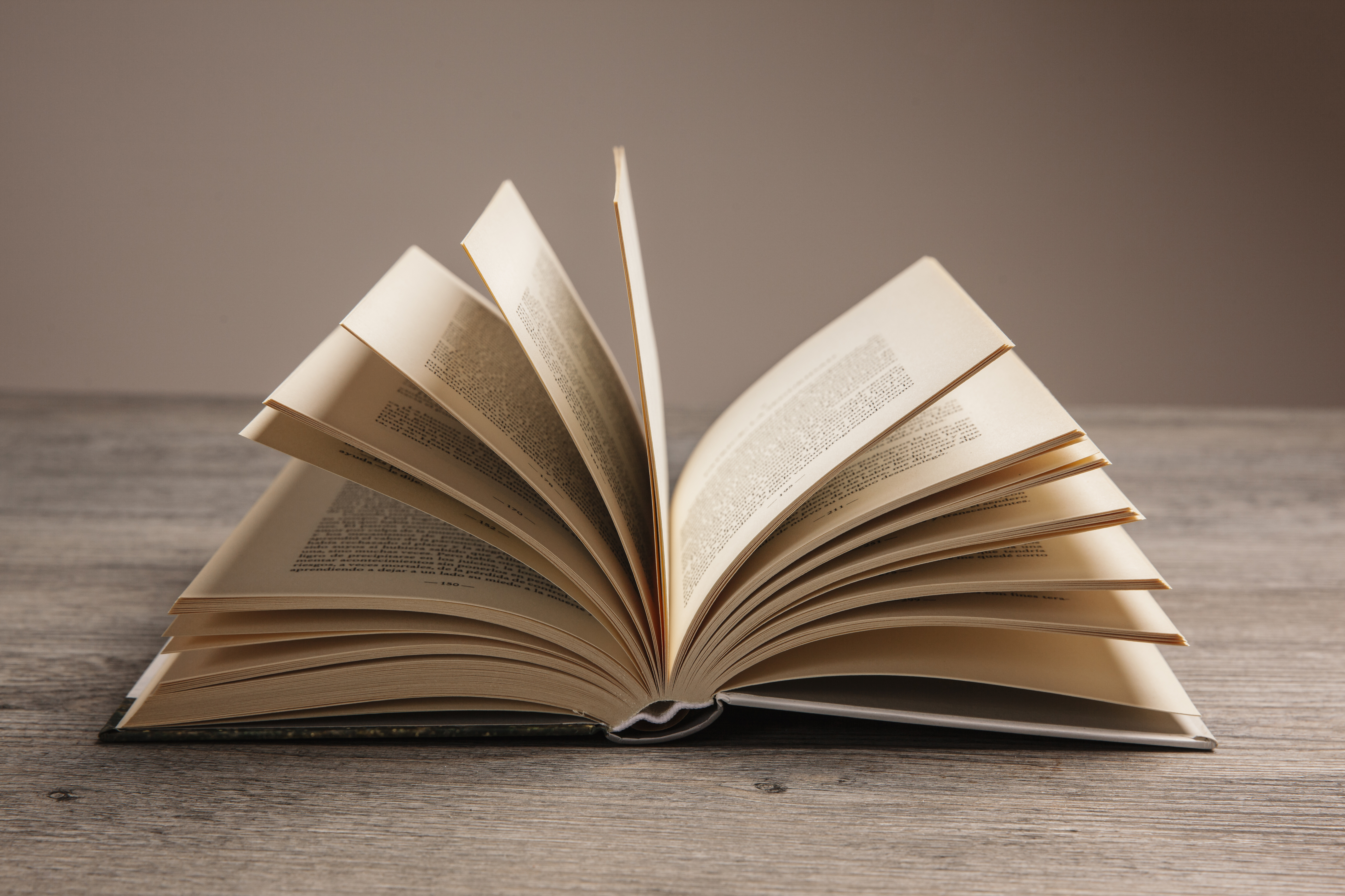 A Novel's Image'